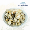 Asiatic White Clam