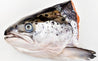 Frozen Salmon Head
